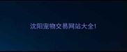 沈阳宠物交易网站大全