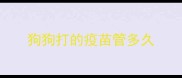 狗狗打的疫苗管多久