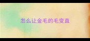 怎么让金毛的毛变直