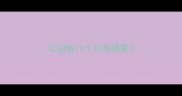 公边牧八个月后绝育
