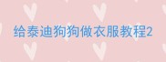 给泰迪狗狗做衣服教程