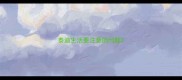 泰迪生活要注意的问题