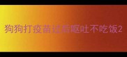 狗狗打疫苗过后呕吐不吃饭