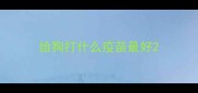 给狗打什么疫苗最好