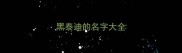 黑泰迪的名字大全