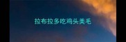 拉布拉多吃鸡头美毛
