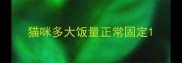 猫咪多大饭量正常固定