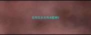 拉布拉多犬母犬配种