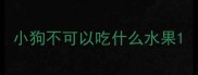 小狗不可以吃什么水果