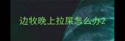 边牧晚上拉屎怎么办