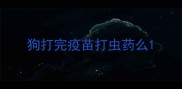 狗打完疫苗打虫药么