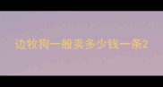 边牧狗一般卖多少钱一条