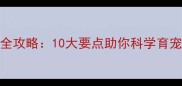 泰迪幼犬饲养全攻略10大要点助你科学育宠新手必看