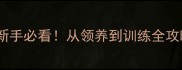 哈士奇萌宠指南新手必看从领养到训练全攻略附避坑清单