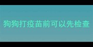 狗狗打疫苗前可以先检查