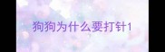 狗狗为什么要打针