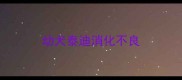 幼犬泰迪消化不良