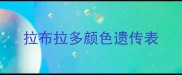 拉布拉多颜色遗传表