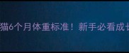 狮子猫6个月体重标准新手必看成长全
