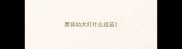 黑背幼犬打什么疫苗