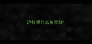 边牧喂什么鱼类好
