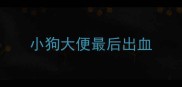 小狗大便最后出血