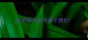 拉布拉多幼犬鼻子颜色