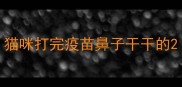 猫咪打完疫苗鼻子干干的