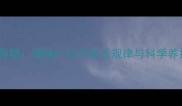 黄金喂养期猫咪0-12月生长规律与科学养护指南