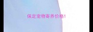 保定宠物寄养价格