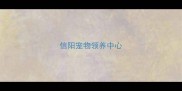 信阳宠物领养中心