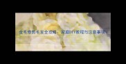 金毛修剪毛发全攻略家庭DIY教程与注意事项
