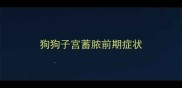 狗狗子宫蓄脓前期症状