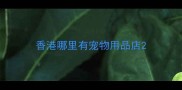 香港哪里有宠物用品店