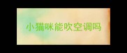 小猫咪能吹空调吗