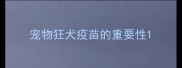 宠物狂犬疫苗的重要性