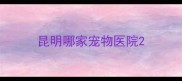 昆明哪家宠物医院