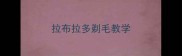 拉布拉多剃毛教学