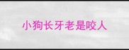 小狗长牙老是咬人