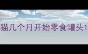 猫几个月开始零食罐头
