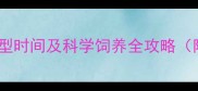 约克夏母狗体型定型时间及科学饲养全攻略附月龄发育特征