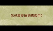 怎样教泰迪狗狗握手