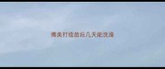 博美打疫苗后几天能洗澡