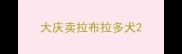 大庆卖拉布拉多犬