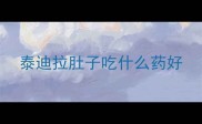 泰迪拉肚子吃什么药好