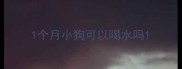 1个月小狗可以喝水吗