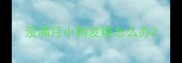 没满月小狗发烧怎么办
