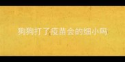 狗狗打了疫苗会的细小吗