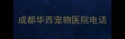 成都华西宠物医院电话