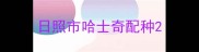 日照市哈士奇配种
